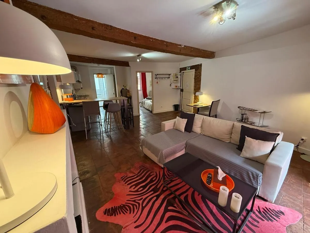 Appartement Hyper-Centre - Pont Neuf - St Cyprien Toulouse