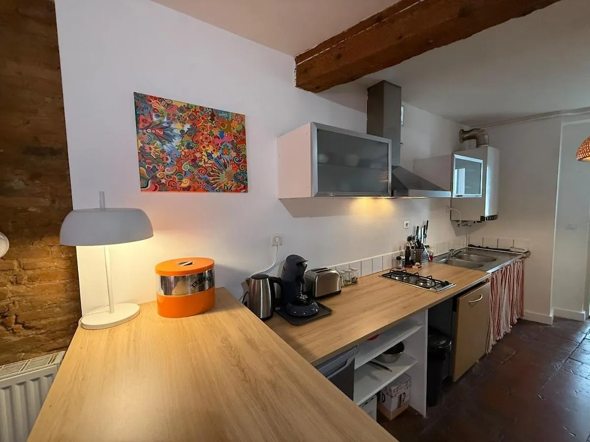 Daire Appartement Hyper-Centre - Pont Neuf - St Cyprien Toulouse