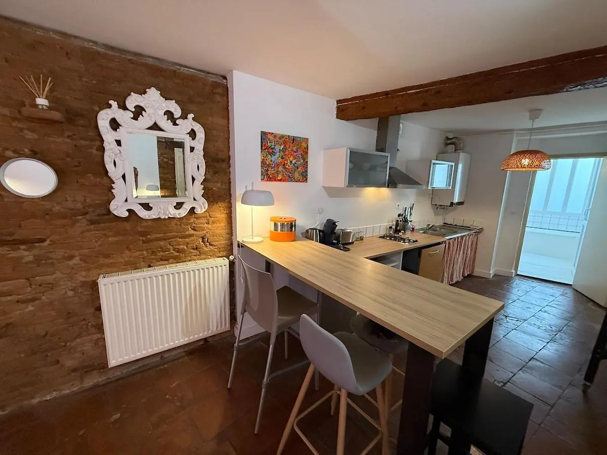 Appartement Hyper-Centre - Pont Neuf - St Cyprien Toulouse Apartamento