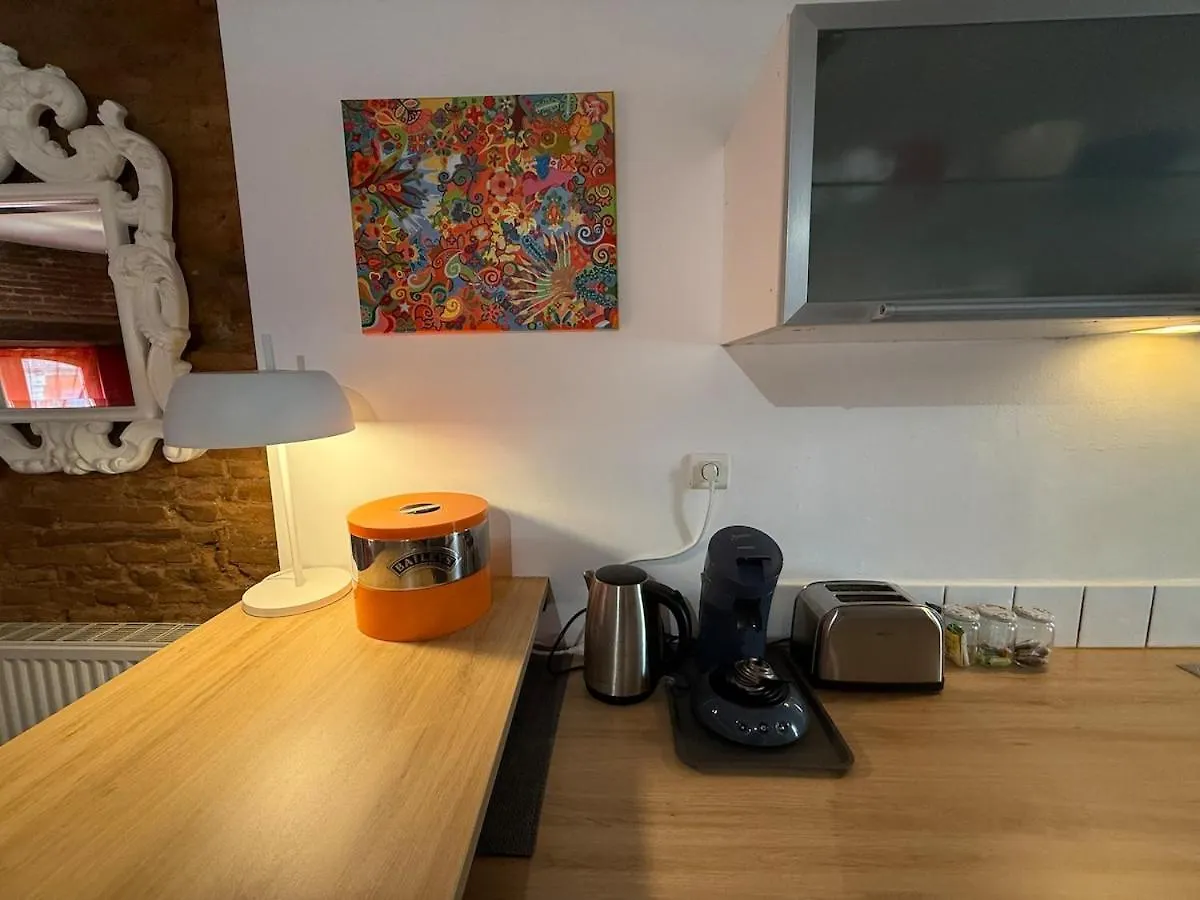 Apartamento Appartement Hyper-Centre - Pont Neuf - St Cyprien Toulouse Francia